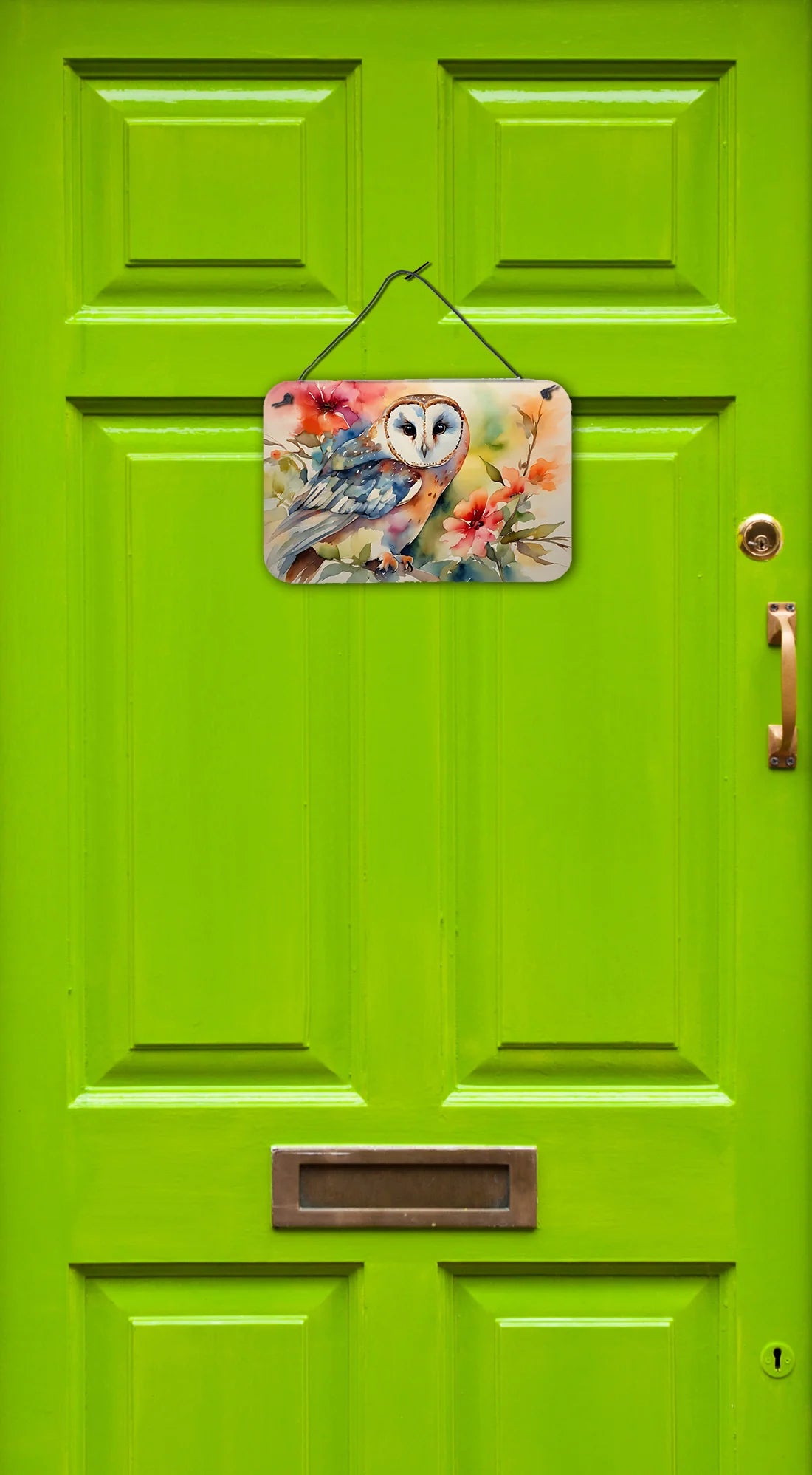 Barn Owl Wall or Door Hanging Prints