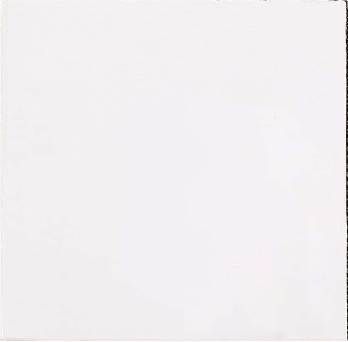 Wall Hanging Plant Bracket,2 Pack 12-Inch Retro Iron Metal Wall Hanger for Hanging Plant Flower Bird Feeder Planter Indoor Outdoor,Retro