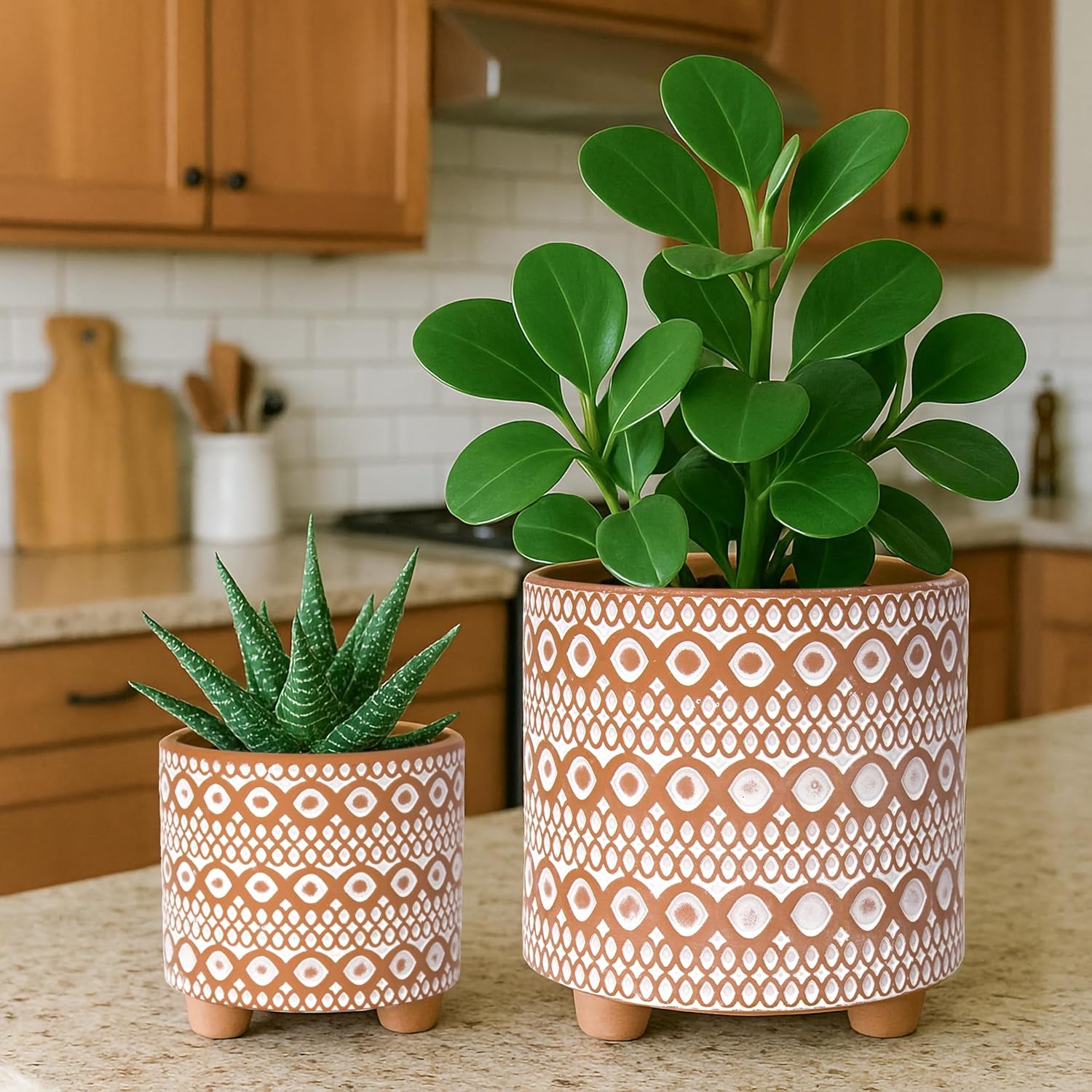 Set of 2 Terracotta Planter Pots, 4 Inch & 6 Inch, Design Plants Pot with Drainage Hole, Desert Mirage, Terracotta/White, 31-953-B-1