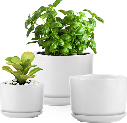 4+5+6 Inch Glazed Plant Pots with Connected Saucers, round Modern Ceramic Flower Pots - Small to Large Size for All House Plants, Flowers and Succulent, Set of 3 (White)