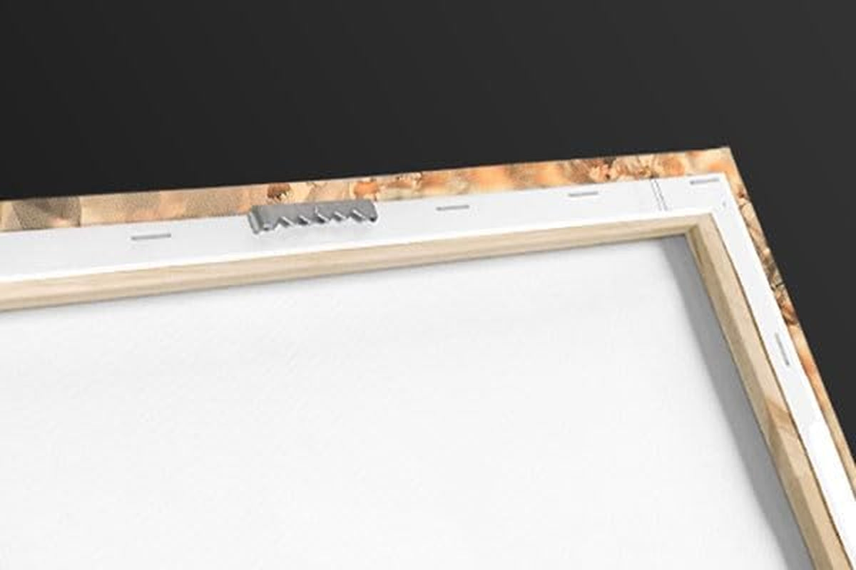 Mediterranean Evening Canvas Wall Art Print by Dominic Davison, Home Decor, Cat, Design Europe Artwork, 40" X30In