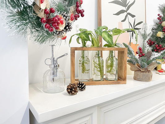 Ivolador Plants Terrarium Bud Pots in Wooden Rack | Rustic, Vintage Home Decor | Windowsill Accessory, Wedding, Kitchen, Dining Table Centerpiece (3 Bottle)