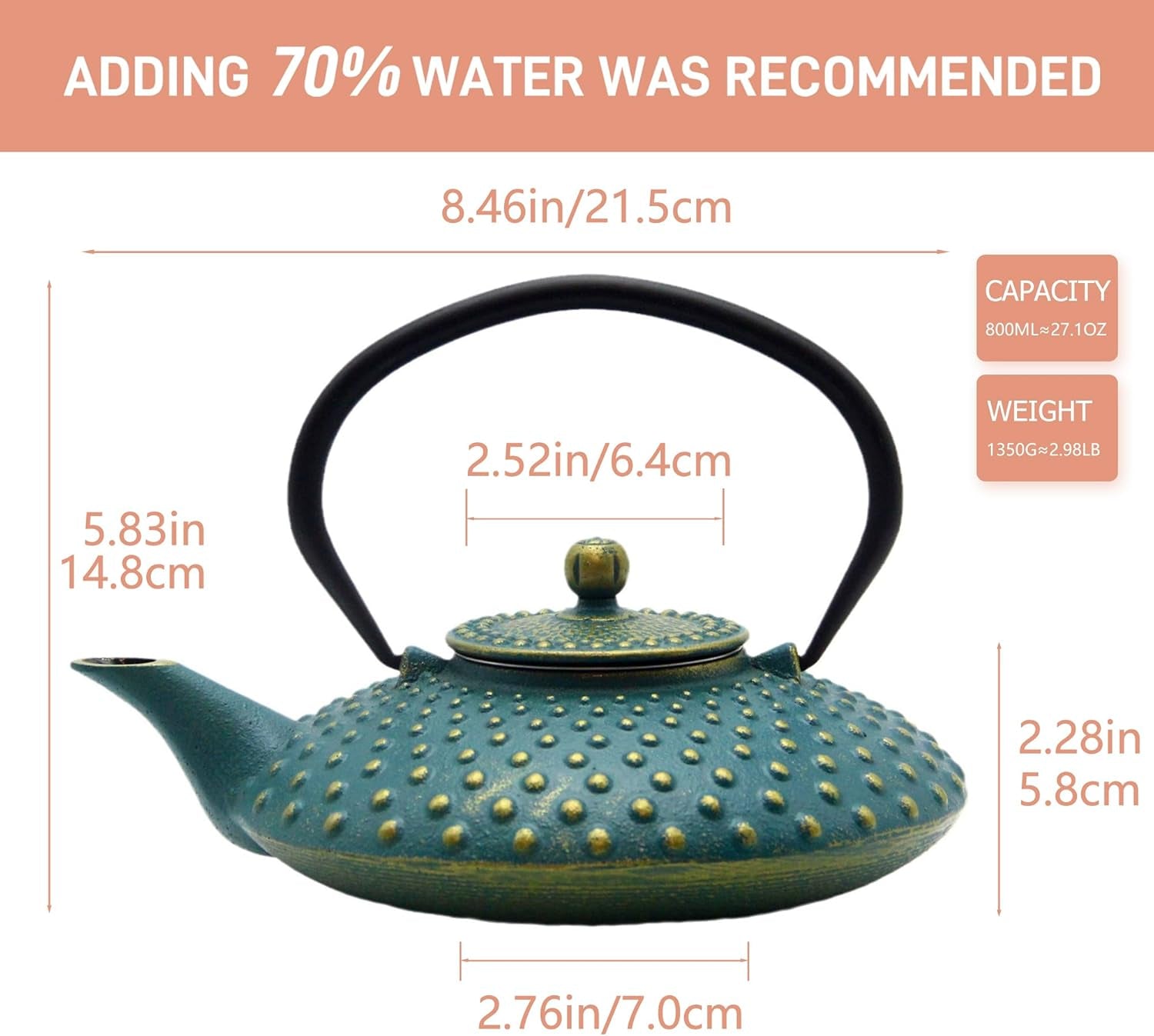 27.1Oz Small Cast Iron Teapot, Tea Kettle Coated with Enameled Interior for Stovetop Safe, Japanese Style Cast Iron Teapot with Stainless Steel Infuser for Loose Tea,Flat Pattern(800Ml)