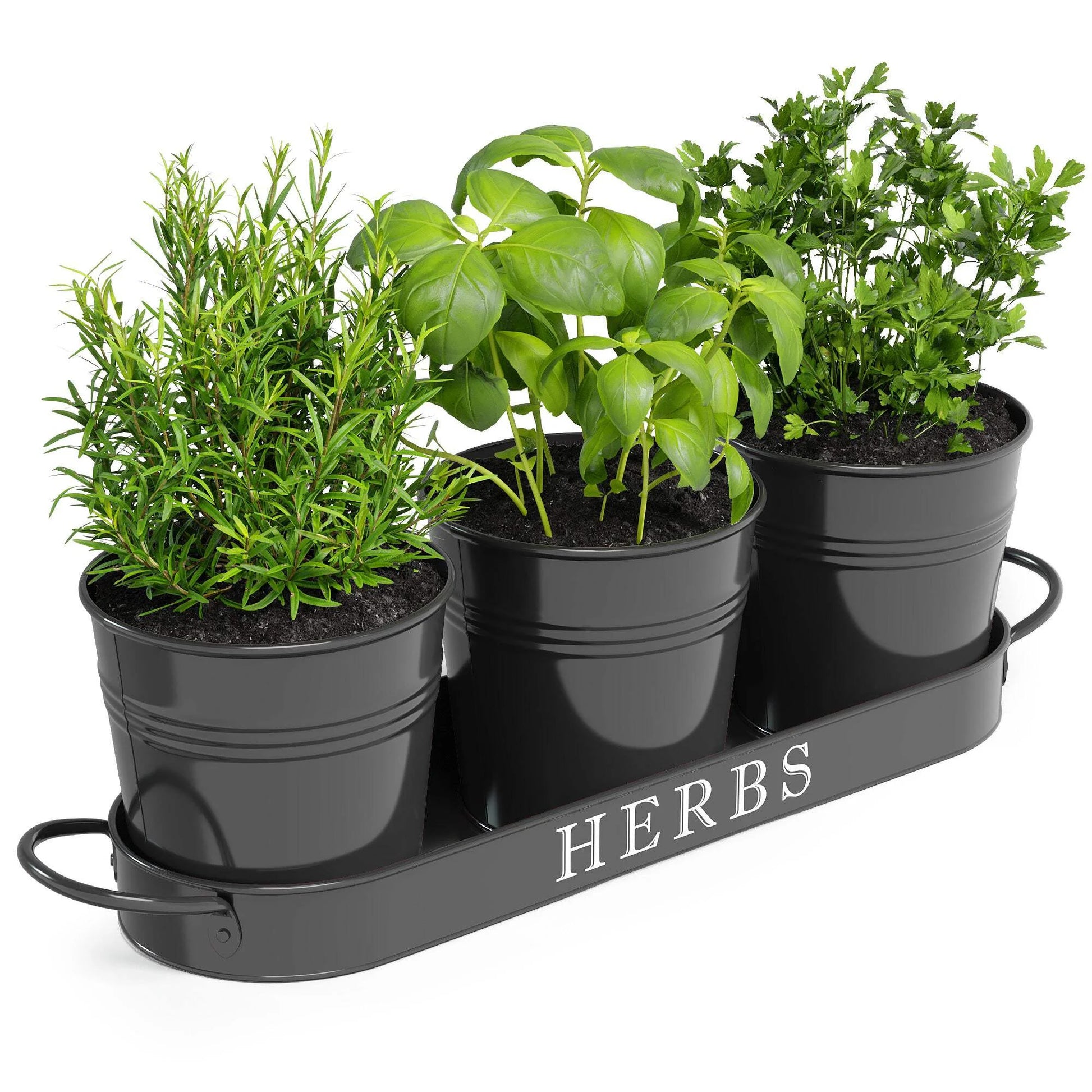 Farmhouse Herb Garden Planter Indoor Planter Set with Tray or Outdoor Apartment Window Planter Box, Windowsill Planter Box, Indoor Herb Planter Garden Pots Herb Pots, Black, Set/3