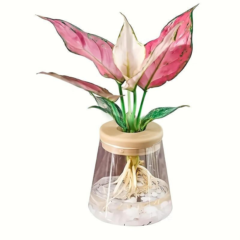 3Pcs, Hydroponic Plant Vase, Clear Plastic Propagation Pot, 3.5 Inch Indoor Small Grow Pot for Home Decoration.