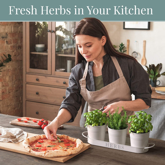 Farmhouse Herb Garden Planter Indoor Planter Set with Tray or Outdoor Apartment Window Planter Box, Windowsill Planter Box, Indoor Herb Planter Garden Pots Herb Pots, Black, Set/3