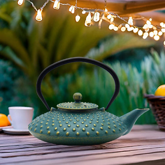 27.1Oz Small Cast Iron Teapot, Tea Kettle Coated with Enameled Interior for Stovetop Safe, Japanese Style Cast Iron Teapot with Stainless Steel Infuser for Loose Tea,Flat Pattern(800Ml)