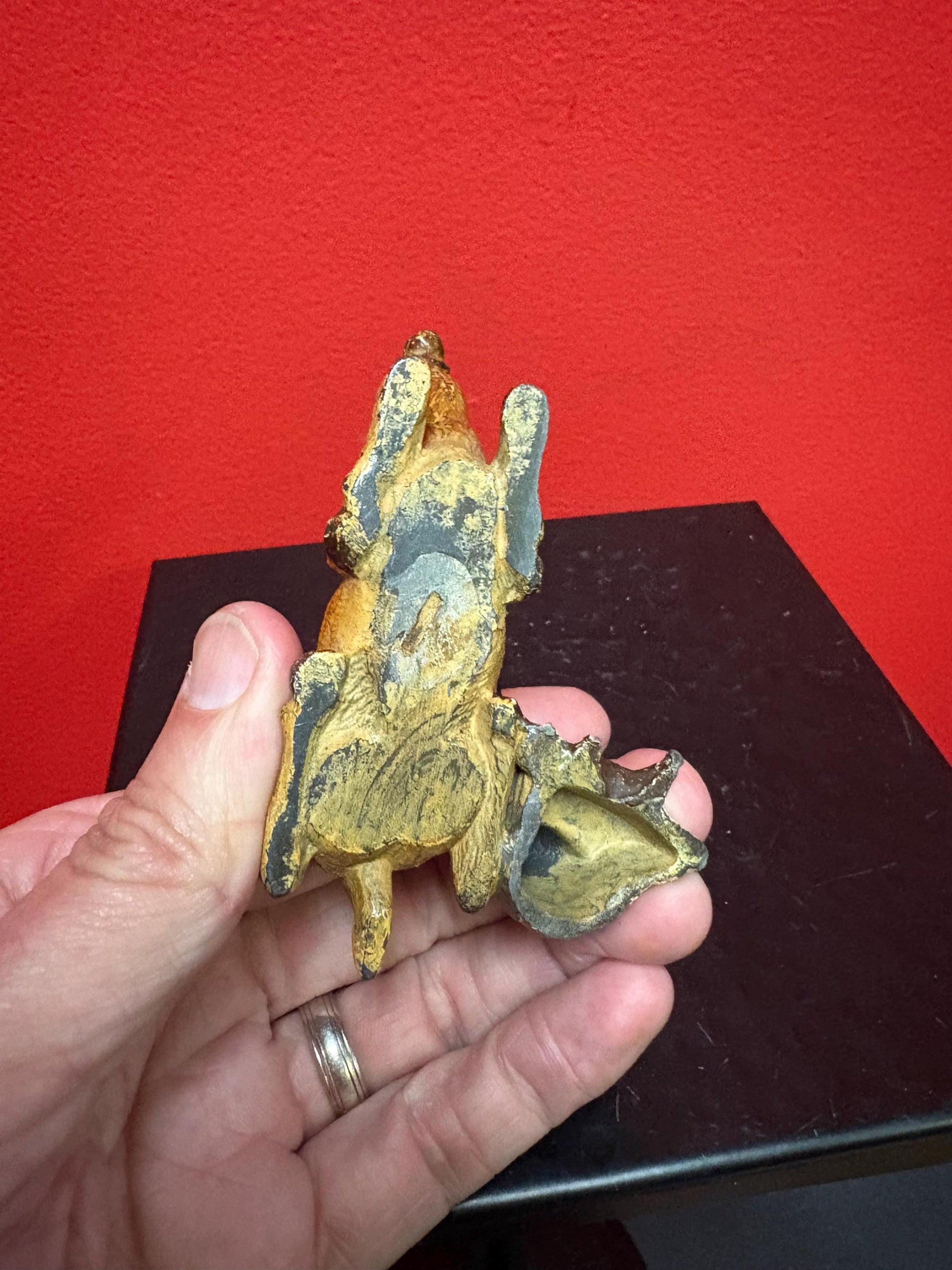 Beautiful Antique 4 X 2” High Austrian Cold Painted Bronze Arab with Camel — Lovely Condition - Amazing Price