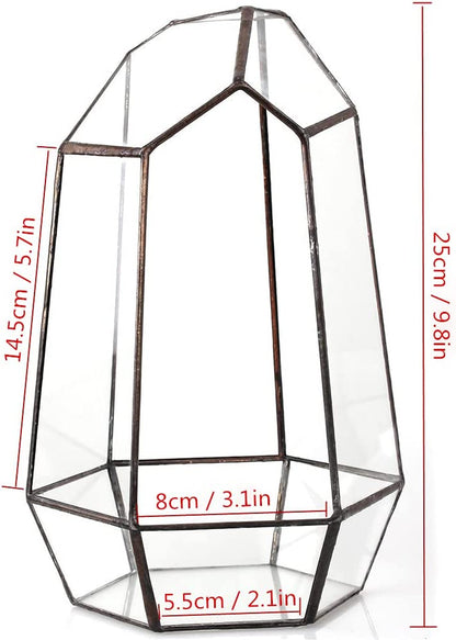 Geometric Glass Terrarium Planter for Succulent, Small Cacti, Black Irregular Opened Container Pot, Indoor Home Garden Office Tabletop Decor, 6.5" X 5.7" X 9.8" (No Plants, No Door)
